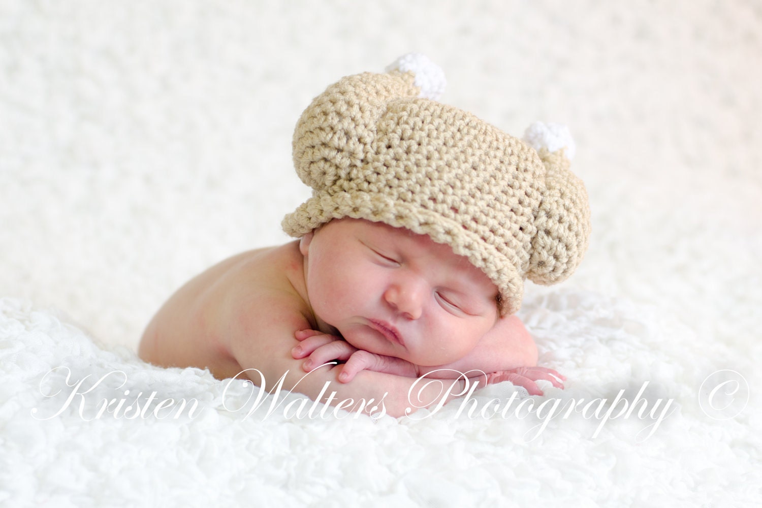 CROCHET PATTERN Crocheted Turkey Dinner Hat w/permission to sell finished items