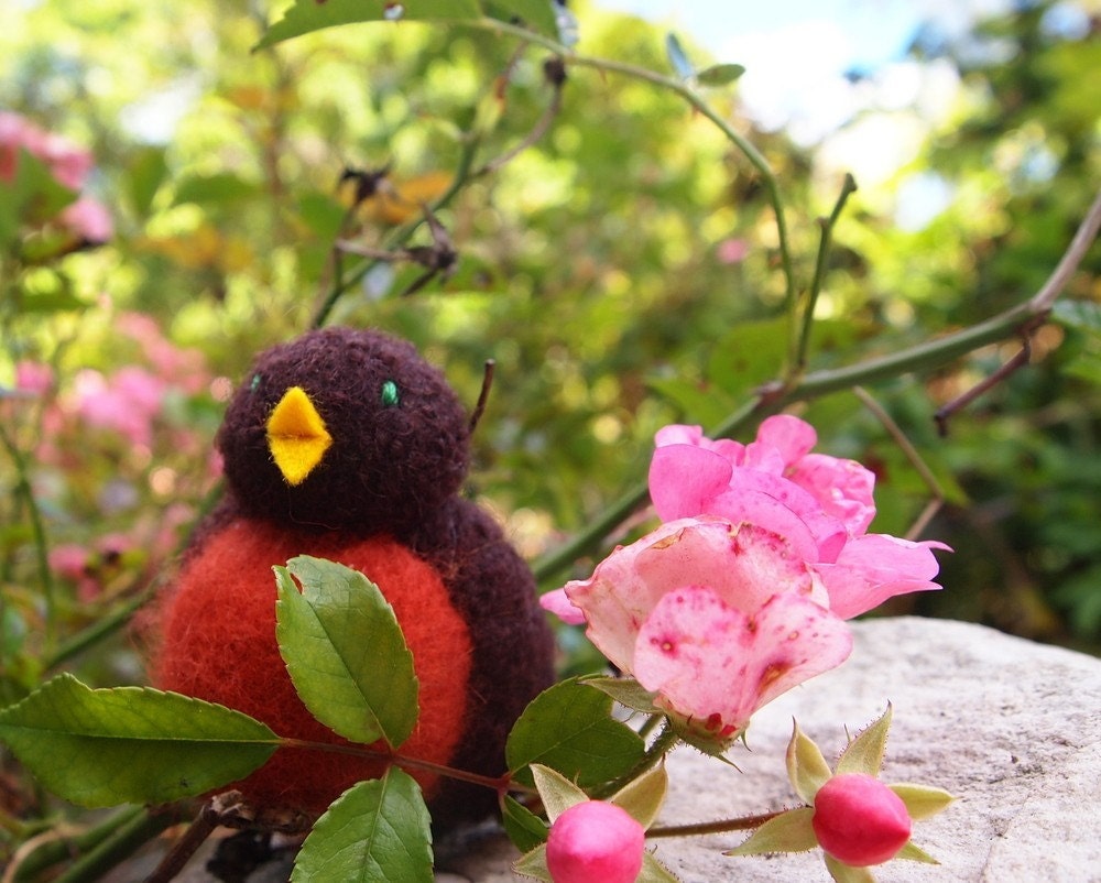 Waldorf Robin ,a  felted wool bird toy