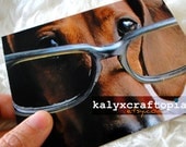 Brown Eyes Dachshund Blank All Occasion Greeting Card