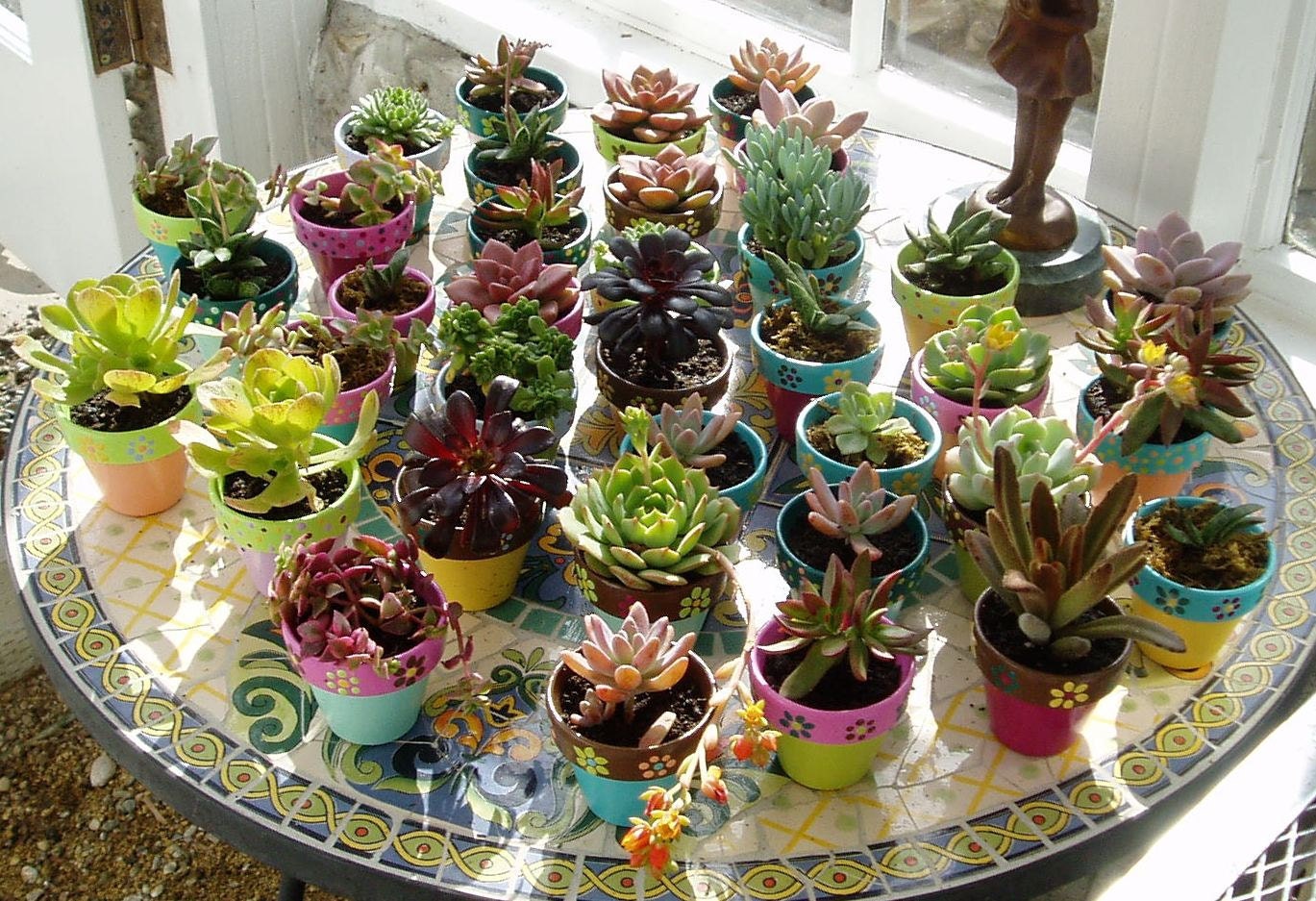 Wedding Favor Garden Succulent Planters - Custom Hand Painted Flower Pots - Weddings-Party-Shower Favors