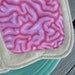 Zombie Brain Sandwich Pot Holders - Insulated - Unique - Silly - Novelty