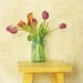 tulip bouquet photograph 8x8 fine art simplicity minimalist country charm