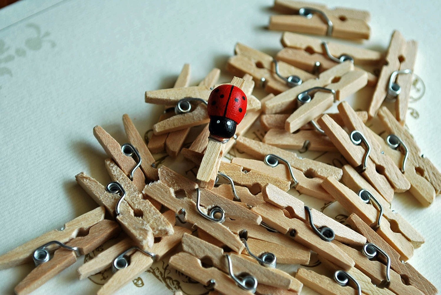 Tiny Wooden Clothes Peg (Natural color) - 100 PCS Only 7.5 USD