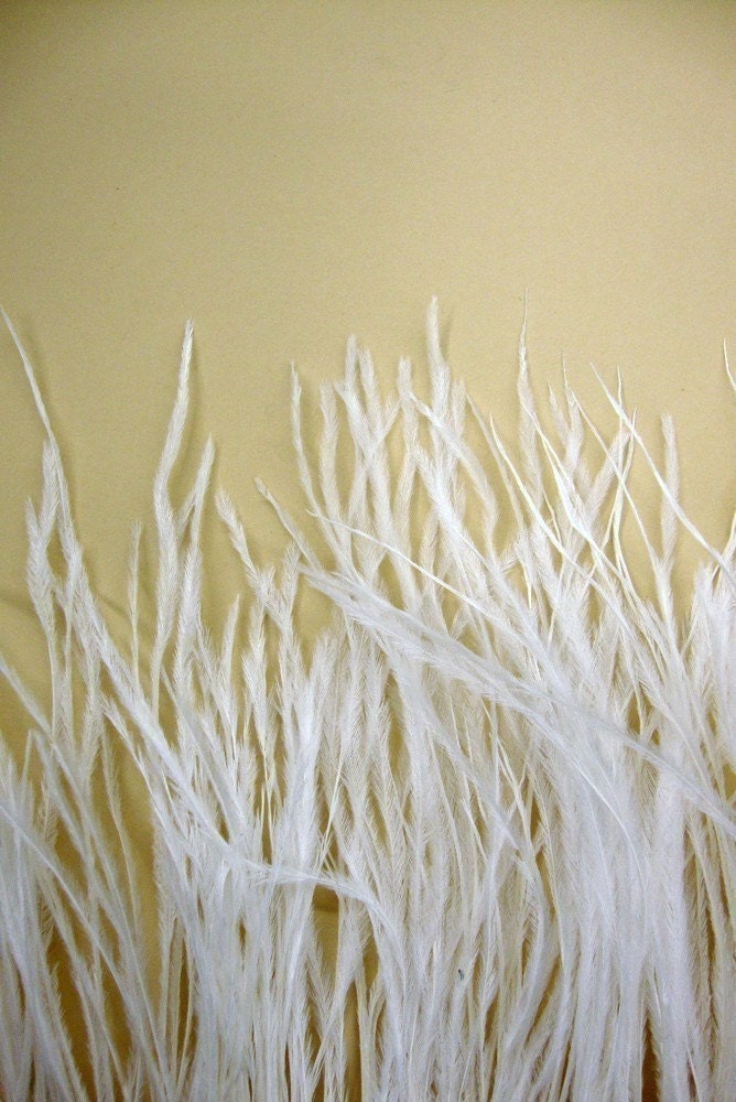 4 Inch Strip / White / Ostrich Fringe Trim feather / Wedding, costume design...