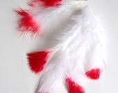 30-40 PCS / MARABOU FLUFF / Red Tipped / 4-6 inches tall.