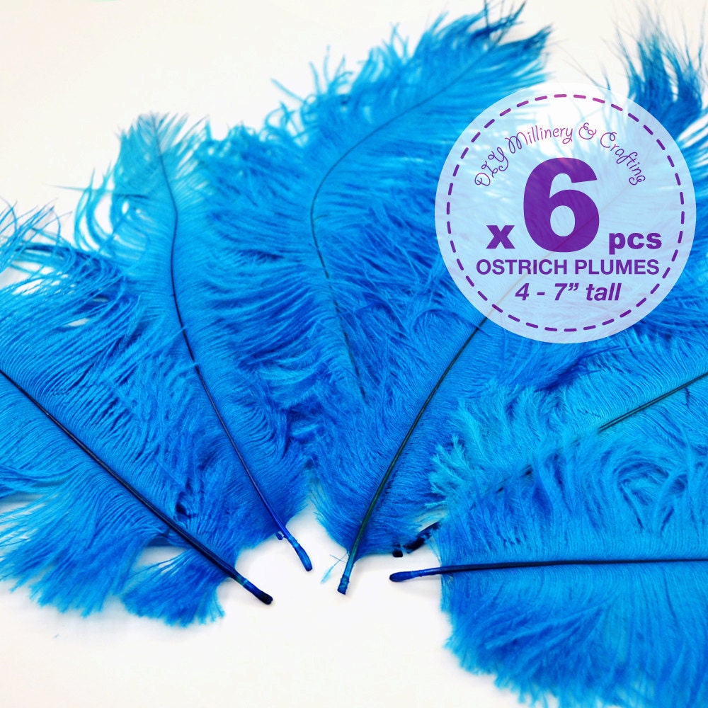 6 pcs - Ostrich Plumes, 4 to 7 inches tall, Turquoise, Costume, Bridal, more sizes and color available