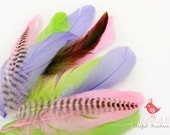 VOGUE GOOSE NAGOIRE feathers Assortment 002 Pastel, baby pink, neon green, pastel purple