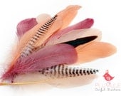VOGUE GOOSE NAGOIRE feathers Assortment 005, Nude colors, coral pink, nude, antique rose