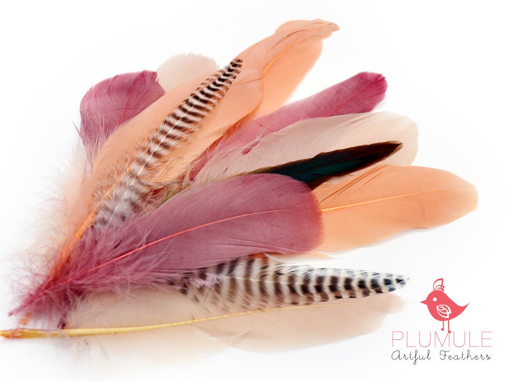 VOGUE GOOSE NAGOIRE feathers Assortment 005, Nude colors, coral pink, nude, antique rose