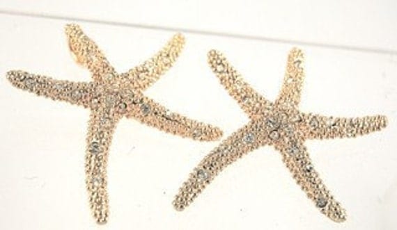 Darling Starfish Earrings