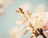 Fleeting 1