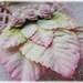 Magical Fairy Dress Form for Scrapbooking, Mixed Media, Altered Art, Cardmaking