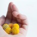 Yellow Halves Necklace Sunny Beaded Beads