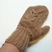 Owl Mittens Hand Knit Wool Mittens for Women in Brown