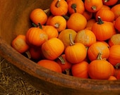 Cauldron Filled with Pumpkins Red Orange Rust Autumn Fall Harvest Straw Halloween Gourd Metal Cast Iron