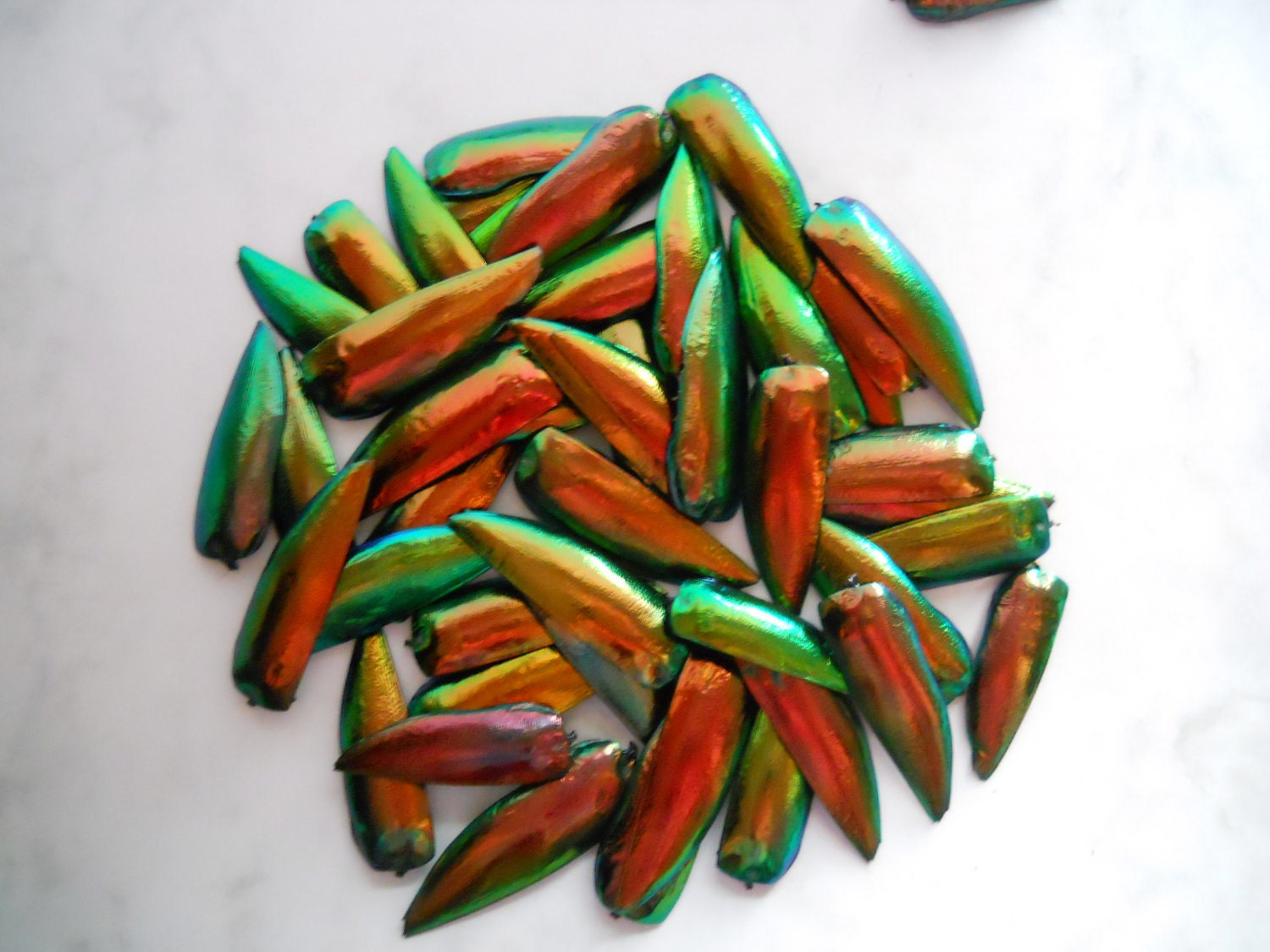 Beetle Wings for embroidery (NO holes), RED/GREEN