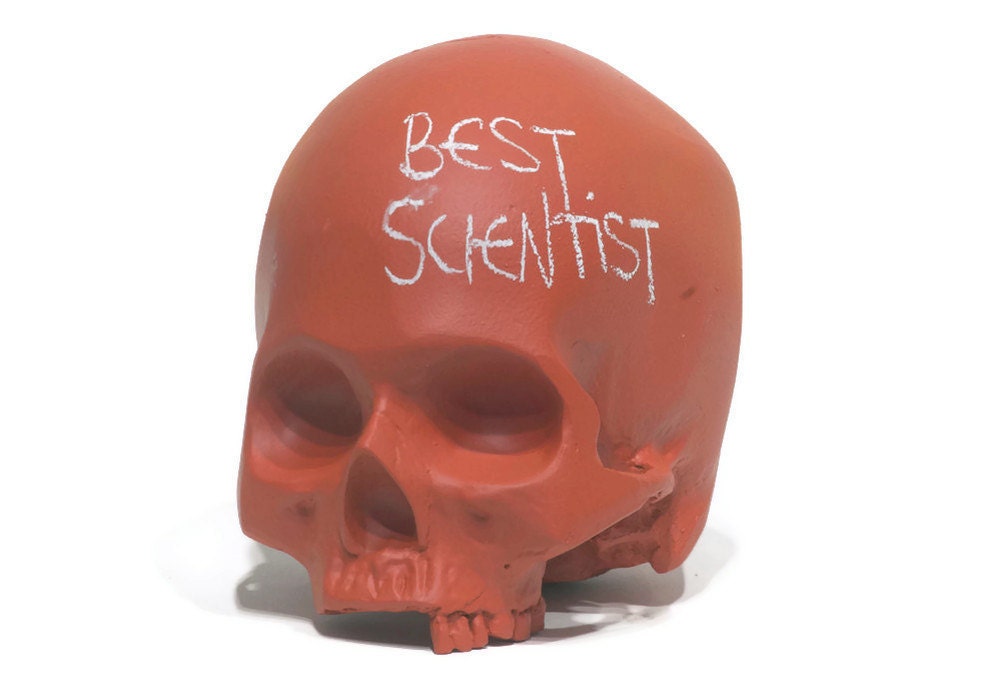 chalkboard skull