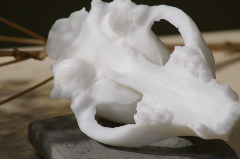 goat milk skull soap