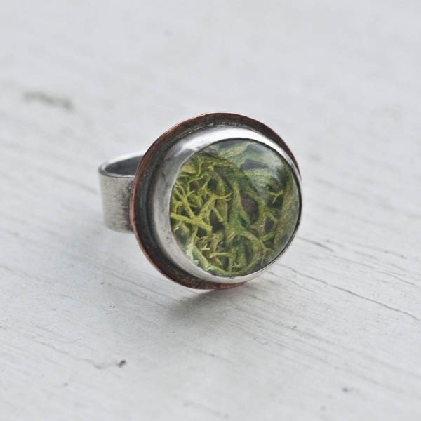 Sterling 15 mm Moss Terrarium Ring with Copper
