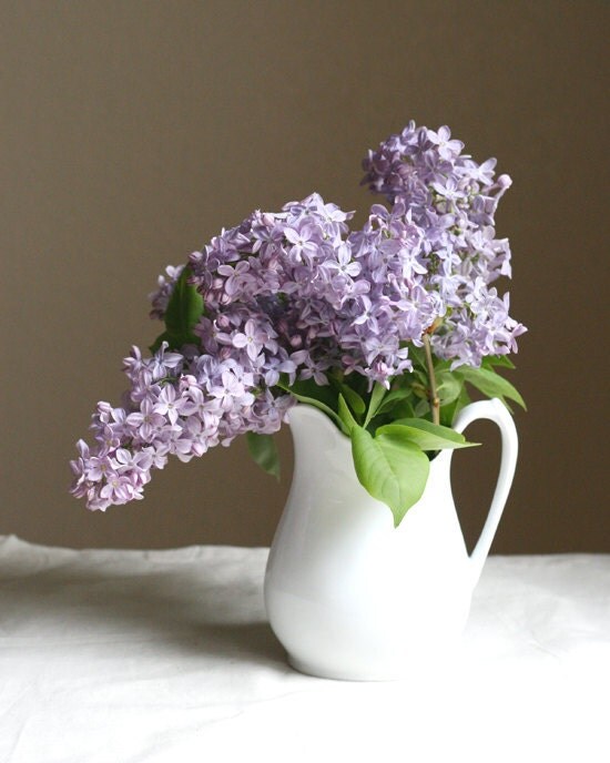 Lilacs In Vase Photo Download 11x14 High By Brightsidestudio