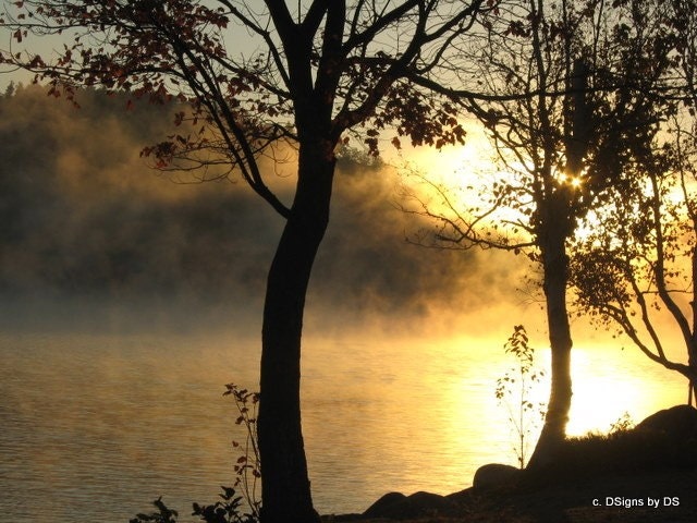 Sunrise On The Lake Note Card,Trees, Fog, Early Morning, Nature, Gold, Home Decor