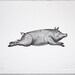 Letterpress Art Print Le Cochon 8x10 - Pork Meat Cuts Chart - Vintage Pig Diagram