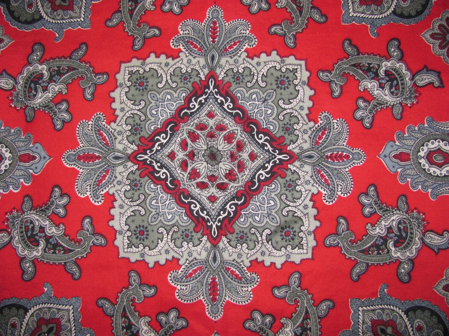 Red Paisley Pattern