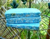 Park Slope Mommy with Way to Much Time on Hands to Write a Boring Blog Big Ass Blue Soap Bar