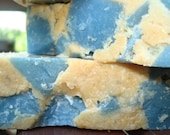 Twilight Is A Bad Movie Blueberry Pie Soap Bar with Blueberry Seed Oil