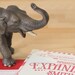 Circus Invitation