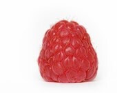 Digital Image - Standing Raspberry - Still Life Photography - Minimalist Art- 8x10, Spring and Summer Home Decor - LifesSimpleMoments