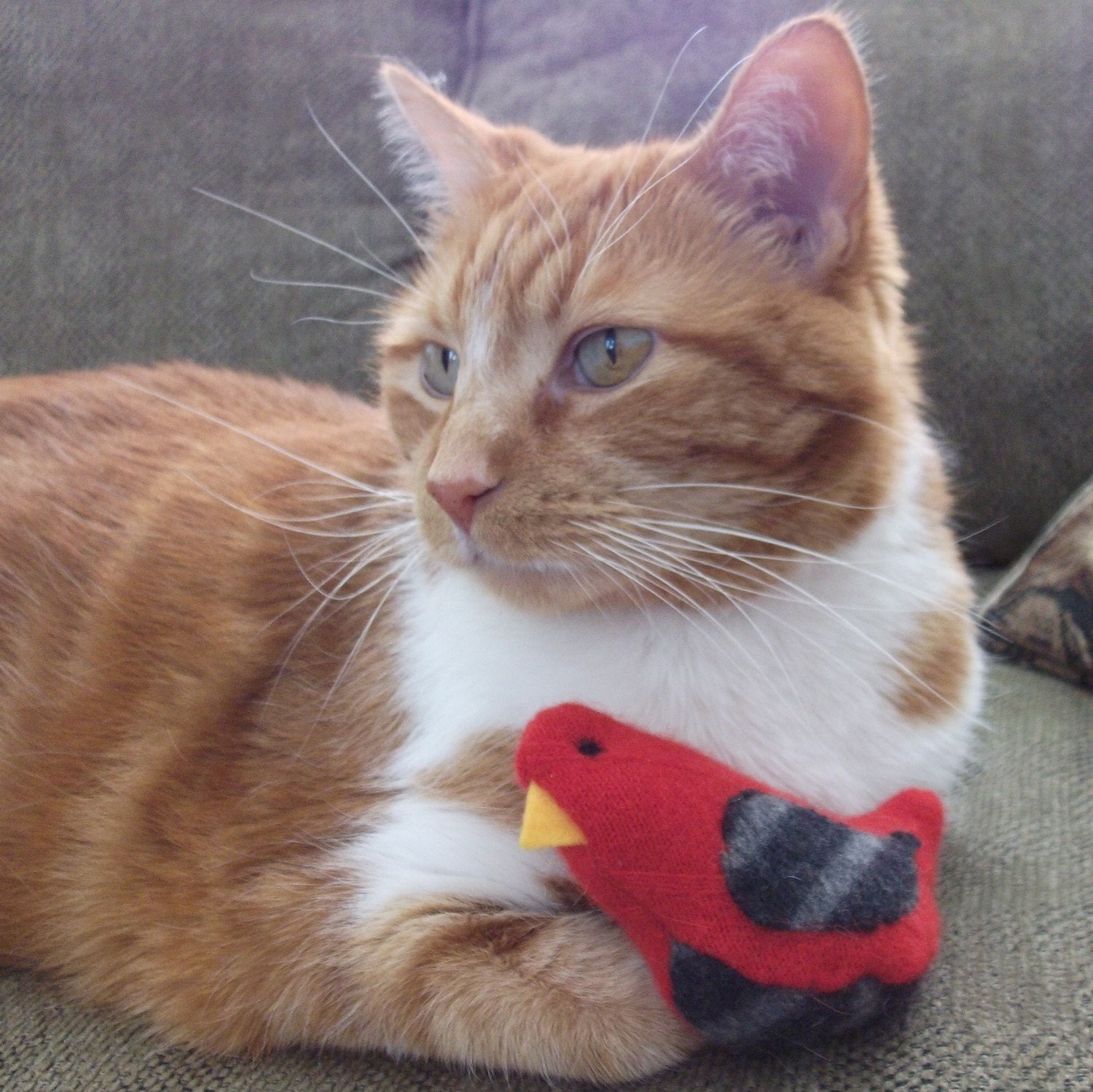 Birds of a Sweater - Pack of 3 Cat Toys
