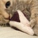 Birds of a Sweater - Pack of 3 Cat Toys