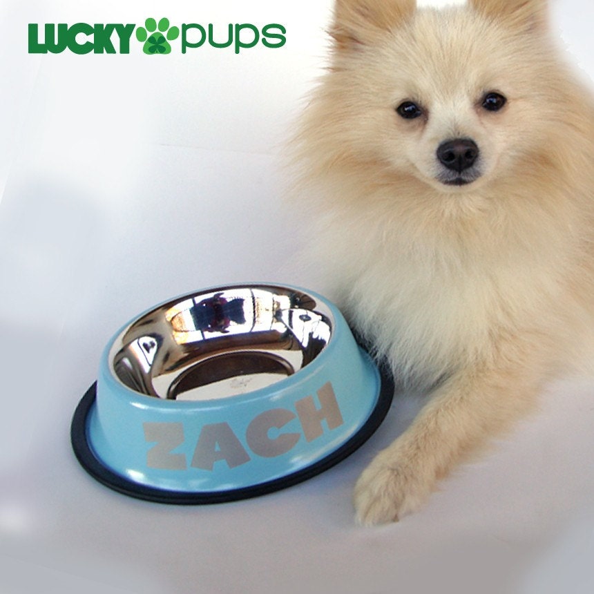 Large - Baby Blue - Personalized Stainless Steel Dog Bowl - Name
