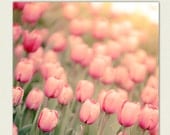 Nature - Pastel Pink Tulips Photograph - Etsy Wall Decor -  Afternoon Haze -  girls room decor, feminine wall art, playroom decor, 8x8
