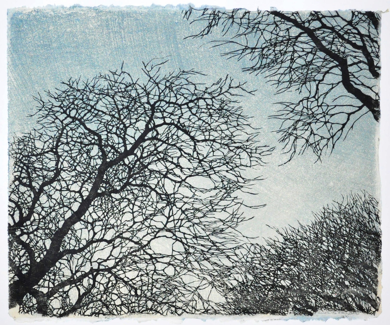 Tree No. 12 Woodblock Print Blue - Award Winner