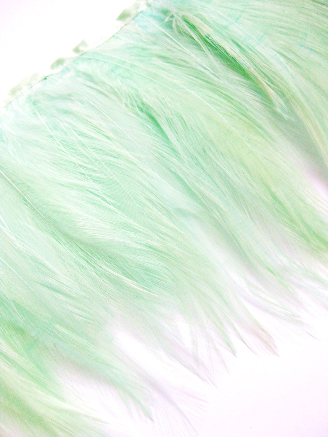 Mint Green Hackle Feather Fringe for fascinators, millinery and crafts (60 plus feathers) - squirlgirl