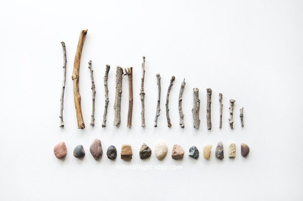 Rocks & Twigs N6 . 8x10. Fine Art Photographic Natural History Print. Minimal simple style. Natural Home Decor. Indoor garden botanical