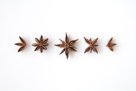 Star Anise in a row. 8x10. Fine Art Photographic Print. Minimalist. Herbs. Natural Home Decor. Indoor garden botanical. Kitchen wall art.