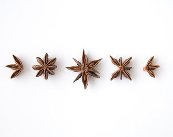 Star Anise in a row. 8x10. Fine Art Photographic Print. Minimalist. Herbs. Natural Home Decor. Indoor garden botanical. Kitchen wall art.