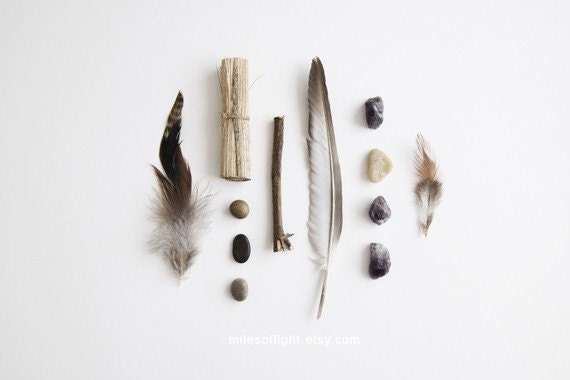 TRIBE N2 - 8x10. Fine Art Photographic Natural History Print. Minimal simple style. Natural Home Decor. Indoor garden botanical