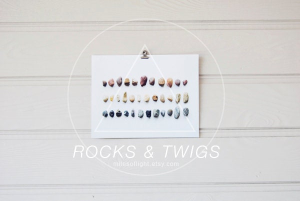 Rocks & Twigs N2 . 8x10. Fine Art Photographic Natural History Print. Minimal simple style. Natural Home Decor. Indoor garden botanical