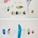 Bits of Summer - 8x10. Fine Art Photographic Natural History Print. Minimal simple style. Natural Home Decor. Indoor garden botanical