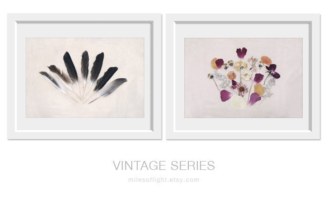 Vintage Flowers. 8x10. Fine Art Photographic Natural History Print. Minimal simple style. Natural Home Decor. Indoor garden botanical