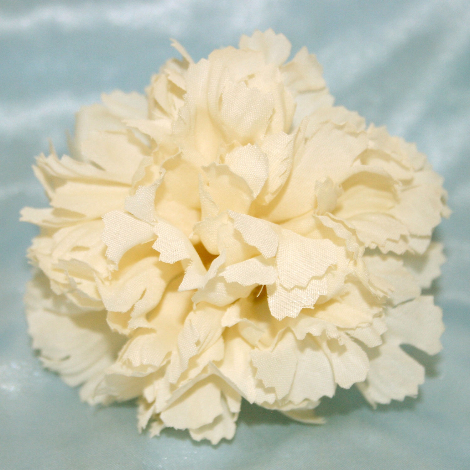 1 Ivory Carnation