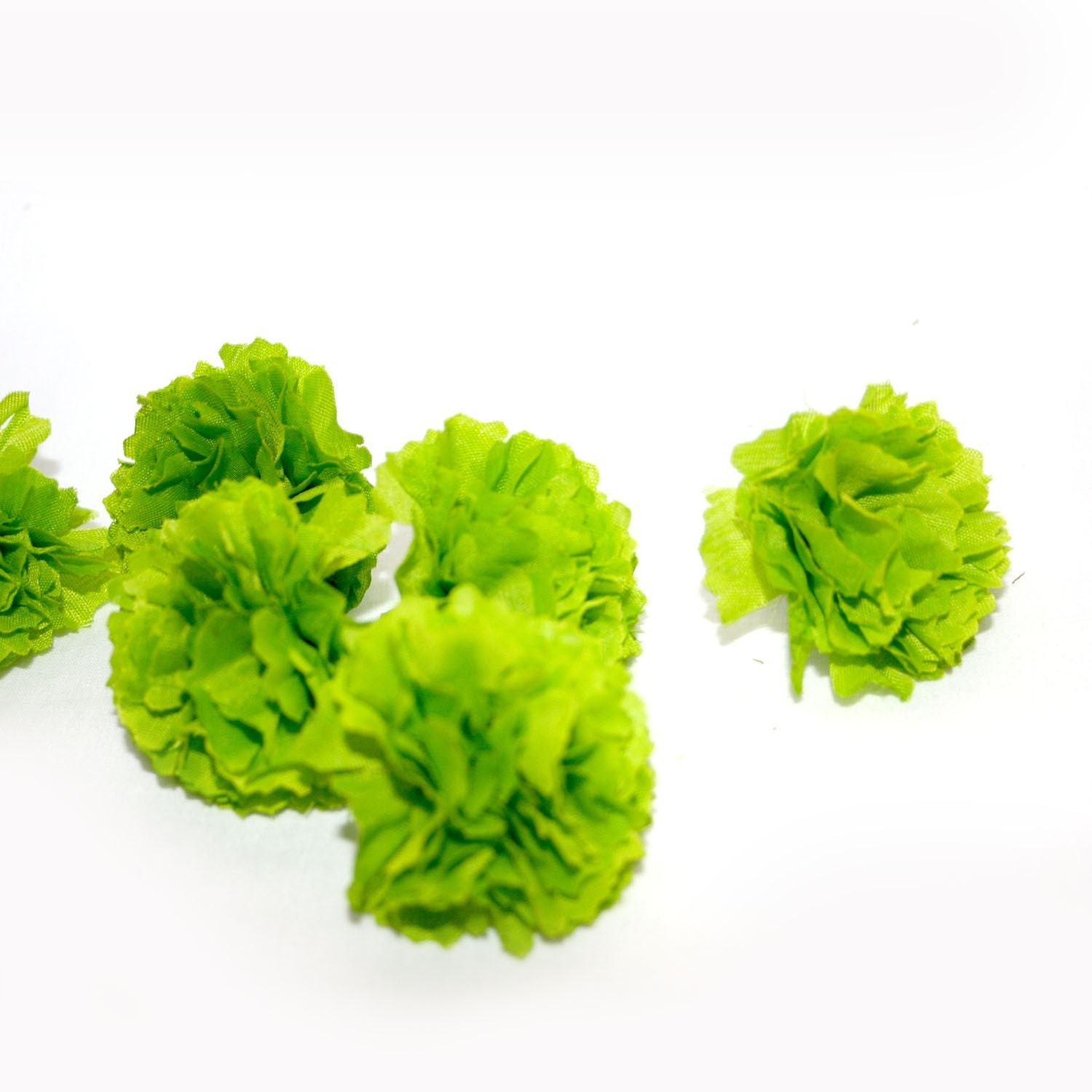 Light Green Carnations