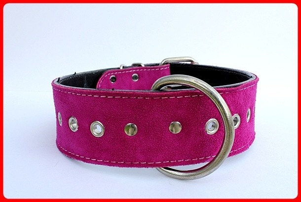 2" fuschia suede leather dog collar 20-24"  (big dog)