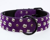 Purple Suede leather dog collar with studs  (black hardware)