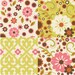 Indian Summer Fabric Charm Pack Riley Blake Designs