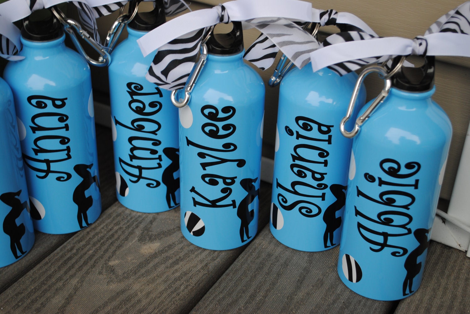 Gymnastics Or Dance And Zebra Polka Dot Aluminum Water Bottle